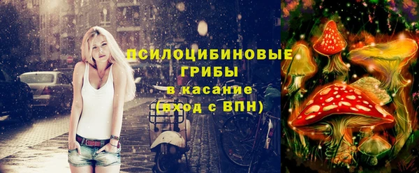 крисы Краснотурьинск