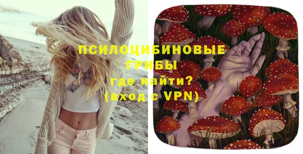 эйфоретик Кодинск