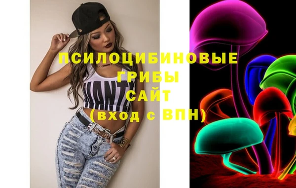 индика Кулебаки